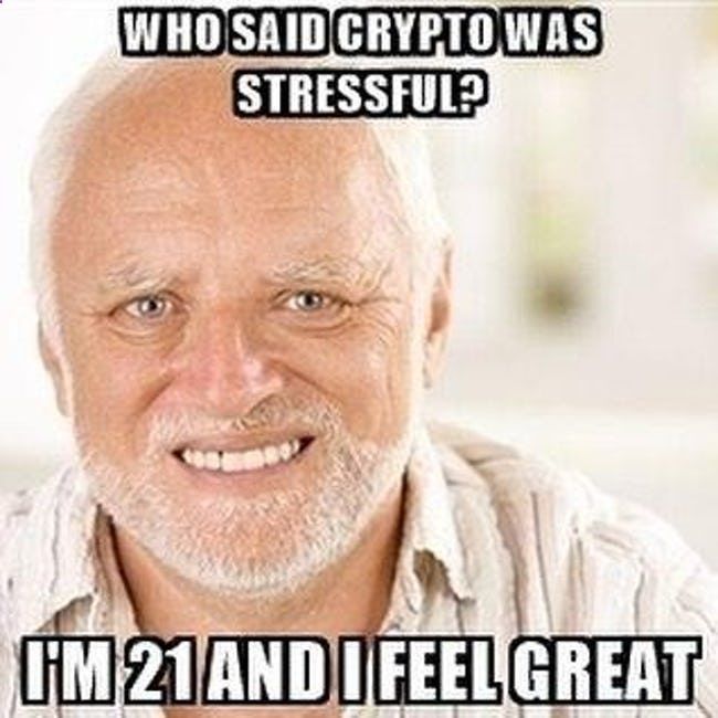 bitcoin meme assignment